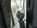 এস এস এর কাজ চলমান💥#sswelding #excellentwork #foryou #hardworkworks #walding