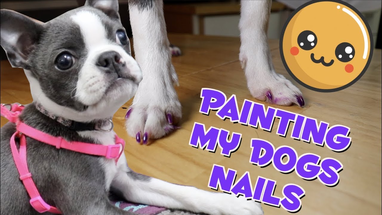 Vegan Dog Nail Polish - Metallic Gold – Uncanny Animals