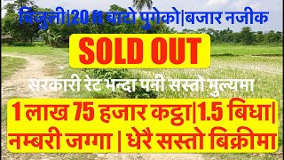 1.75 Lakh Katha| 1.5 Bigga| 20ft Bato| Land For Sale below Market Price| hamrobazar| bhubanthapa