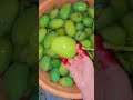 aj amader ekhane jhore koto am porheche#🥭🥭