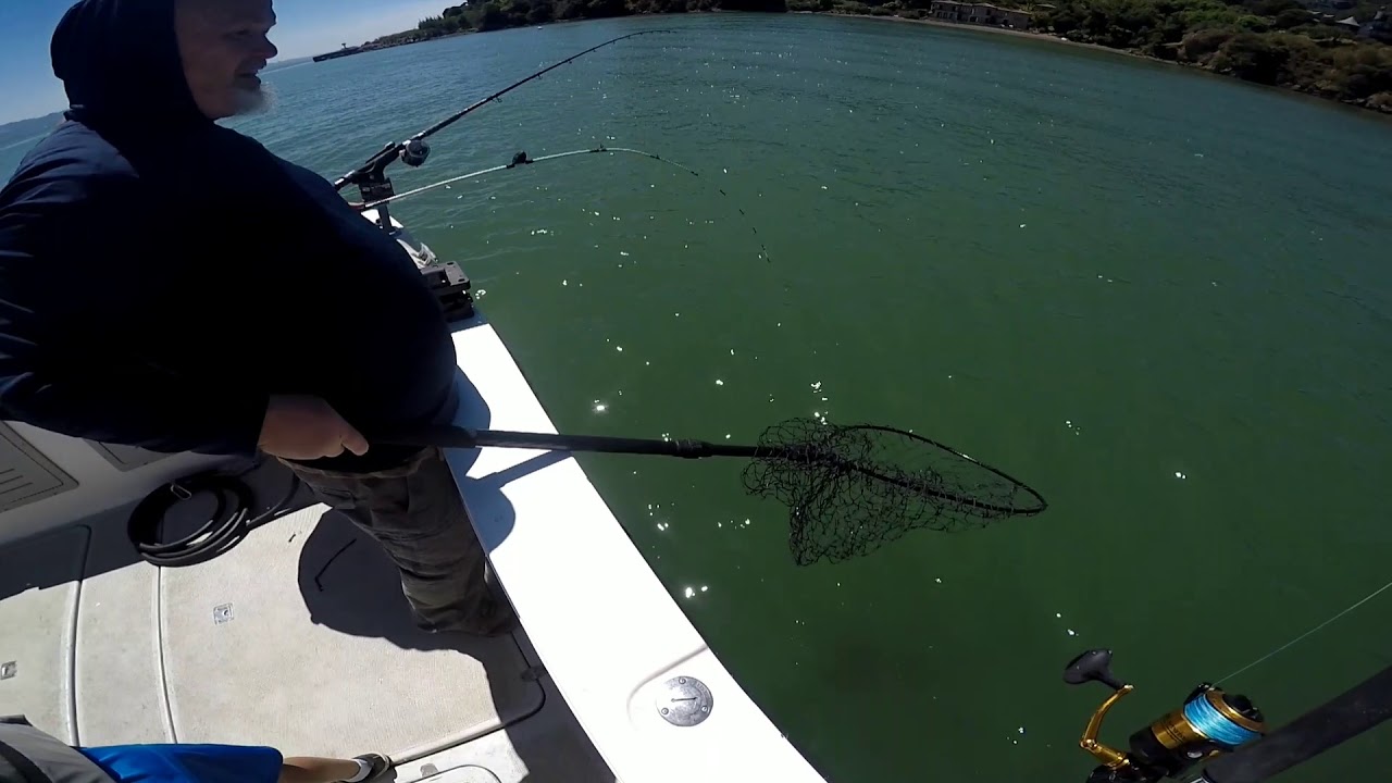 Fishing San Francisco bayfor halibut , striper & fishin poles