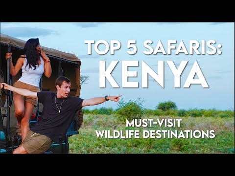 Video: 8 dei migliori safari di lusso in Kenya