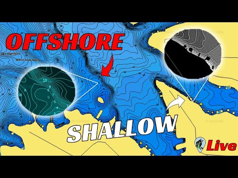 Top 5 Shallow and Deep Areas During Fall to Winter Transition | FTM Livestream #112