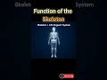 How Your Skeleton Works 🦴 | 206 Bones Explained #mrgoodb #humanbodyfacts