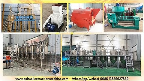 Various palm kernel oil processing machine shows video