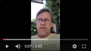 Is the Tenant or the Landlord Responsible for Pest Control?