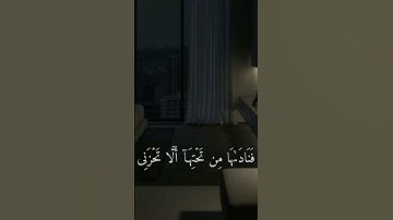 #القرآن_الكريم سورة مريم