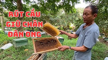 BÍ MẬT Về Rút Cầu Đúng Lúc Mà Không Ai Nói Cho Bạn Biết