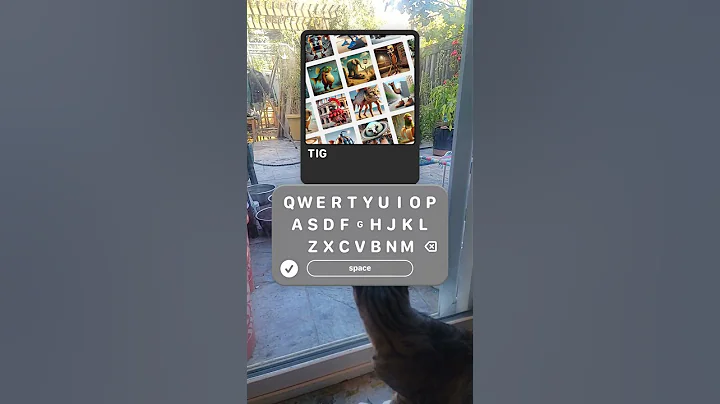 The cat's brainrot surprise