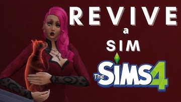 How to bring back a sim from the dead | The Sims 4 CHEAT