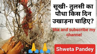 Video Download
