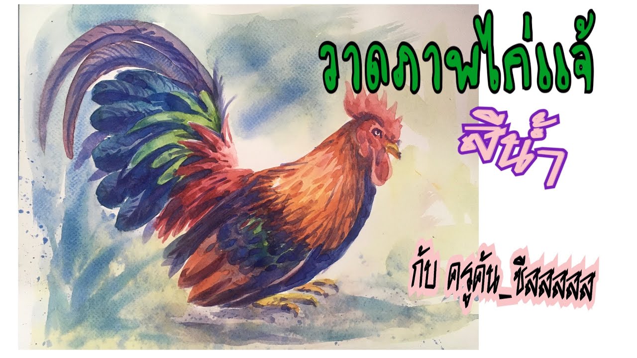วาดภาพไก่แจ้  วาดสีน้ำง่ายๆ  Paint a rooster , Water Colors