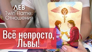 :   Twin Flame :  , ! |  2025  