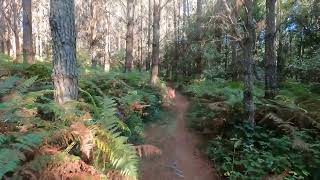 Rutas en bicicleta: Outeiro de Rei - Friol - Lugo (Galicia, España)