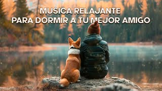 Musica Relajante para Dormir A Tu Mejor Amigo 🐶 MUSICA PARA DORMIR PERROS 🐕 ANIMALES