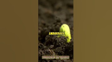 EVERY FAILED EXPERIMENTS IS ONE STEP CLOSER TO SUCCESS ✍️ 🔥 #motivationalquotes #success #quotes