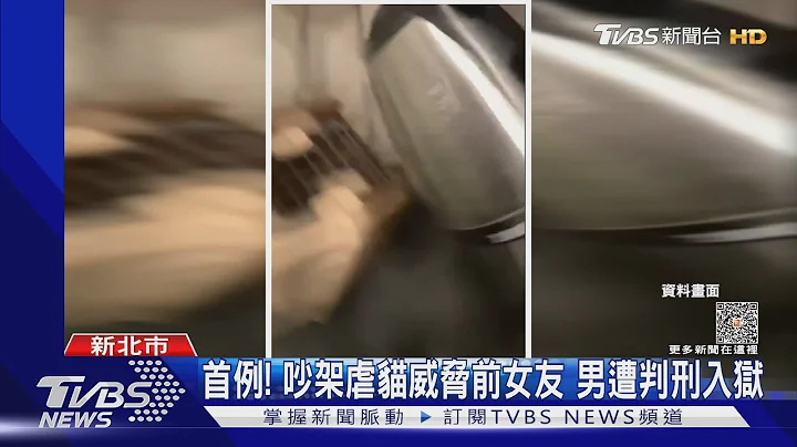 首例! 吵架虐猫威胁前女友 男遭判刑入狱｜TVBS新闻 @TVBSNEWS01 - 天天要闻