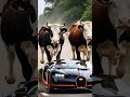 cow flow car | #ytshorts #ytviralshorts #youtube