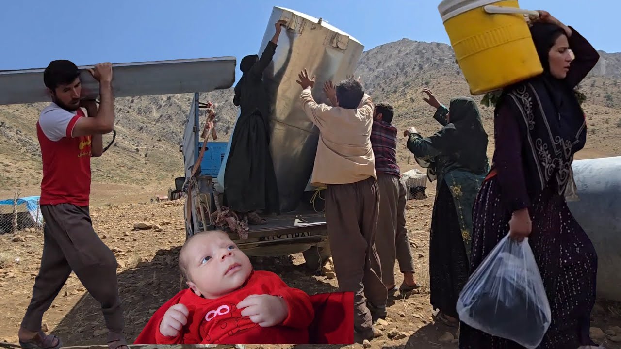 Atabak and Shahin's decision to take the goats to the nomadic area