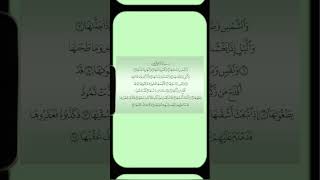 qs as syams #bismillah #quran #islamicvideo #tadabburquran #shortvideo