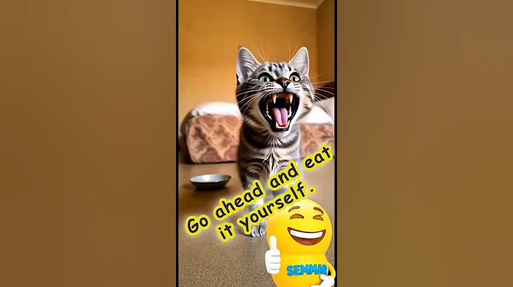 Video 11807881: funny cat eating