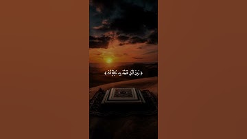 اكتب شيء تؤجر عليه 😴🩶 قران كريم | فارس عباد