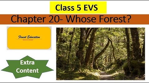 Chapter 20 | Whose Forest| Class 5 EVS| Finest Education