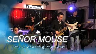 Senor Mouse (Chick Corea, as Played by Al Di Meola) - Live Rec