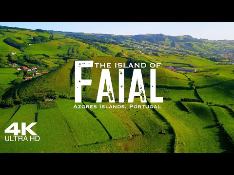 FAIAL Island 🇵🇹 Fayal Drone Aerial 4K 2023 | Azores Açores Portugal