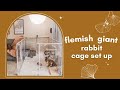 Flemish Giant Rabbit Cage Set Up | Luicidium Clearly Loved Pets Pen Review