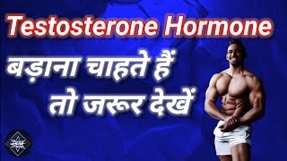 Food Boost Testosterone Hormone l टेस्टोस्टेरोन हार्मोन बढ़ाने के लिए क्या खाएं l Funky Facts