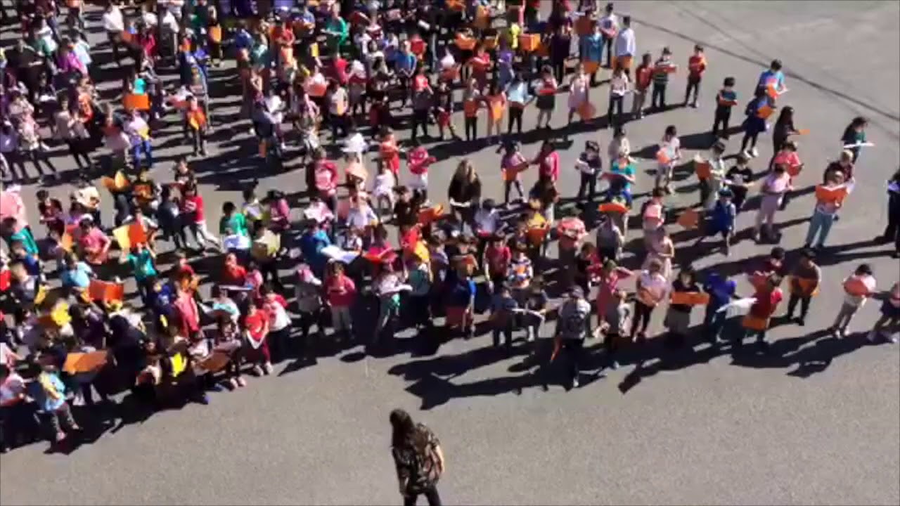 Ecole Samuel De Champlain Brossard Youtube