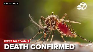 Person dies of West Nile Virus after mosquito bite in Butte County, California