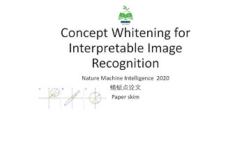 【蜻蜓点论文】Concept Whitening for Interpretable Image Recognition
