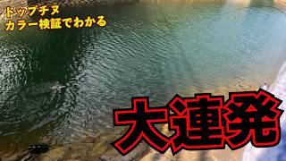 チヌ60です。他の方購入不可です。 嘘だろ？チニング超攻略！釣れるカラー、釣れないカラーを検証！爆釣