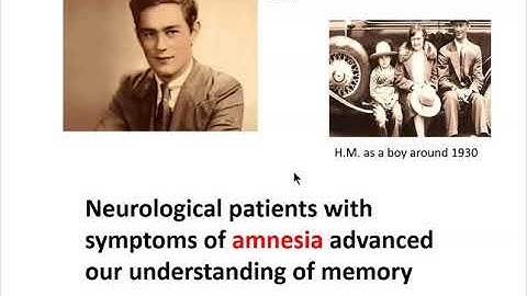 Memory perspectives part 1: Introduction, HM, hippocampus