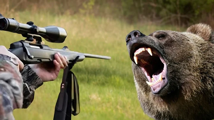 TERRIBLE: How Do American Hunters And Farmers Deal With Million Of Wild Boar And Bear By Guns