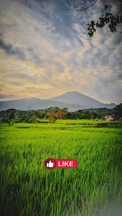 HARGAI KERJA KERAS SUAMIMU #shorts #motivasi #quotes #statusharian #storywa