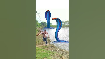Anaconda snake in real life P186#shorts #short #snake #nagin #python #anaconda #snakes #bigsnake