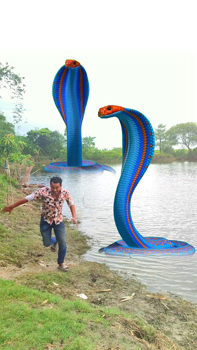 Anaconda snake in real life P186#shorts #short #snake #nagin #python #anaconda #snakes #bigsnake