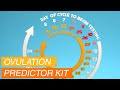 Pregmate ovulation predictor kit test strips