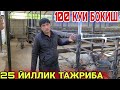 100 КУЙ БОКИШ АРЗОН ЁМ БИЛАН 3 СОТХ ЖОЙДА