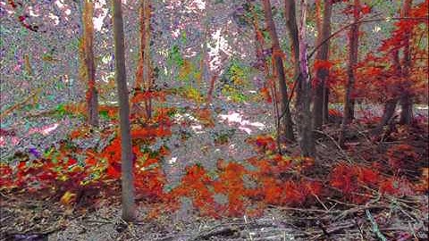 *Demo* 3Delighted Color Shift OLD VERSION