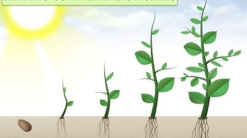 Reading Comprehensions Series    I    Management    I    Commerce    I   NTA UGC NET