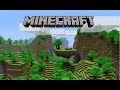How to play minecraft PE online!