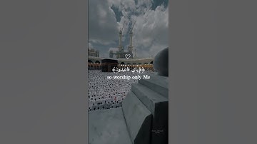 عبد الرحمن مسعد (كل نفس ذآئقة الموت)سورة العنكبوت راحة نفسية والطمأنينة #المصحف #راحة_نفسية #لايك