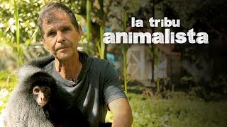 LA TRIBU ANIMALISTA | Marcelo Levy