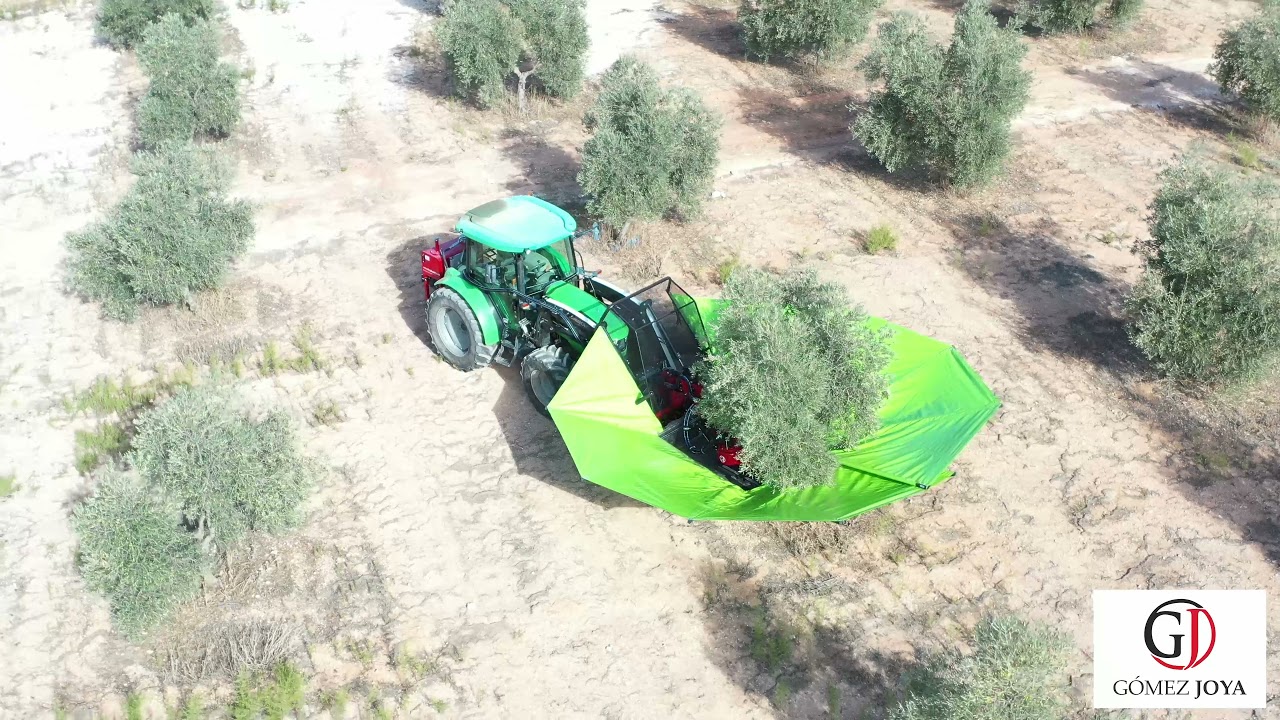 Vibradora Joya con paraguas