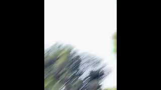 Goyang Engkol Bikin...basah