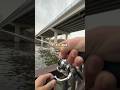 Fishing in a sketchy spot 👀 #fishing #fyp #viral #shorts #fish #sketchy #pike